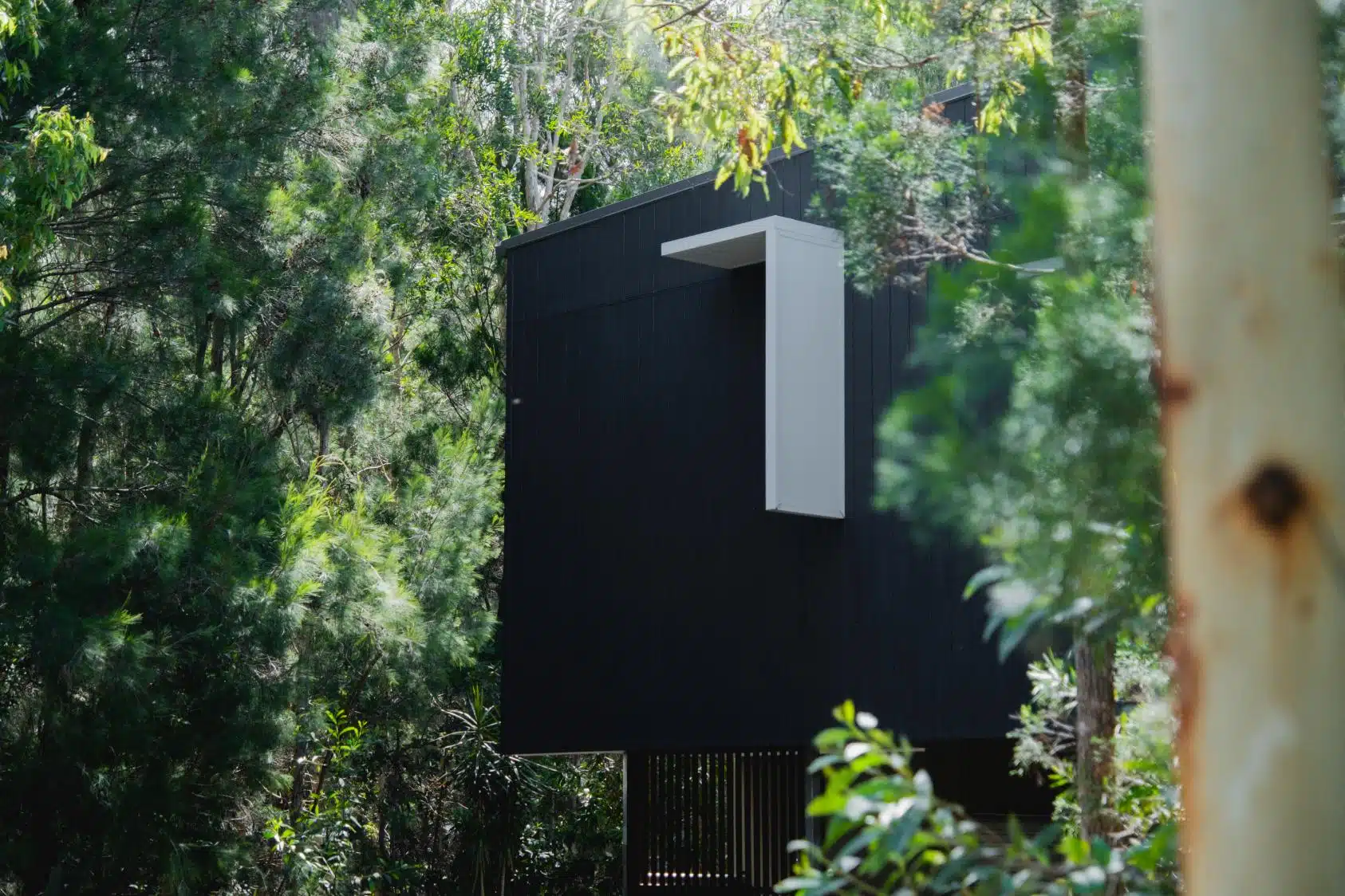 senses noosa 4bedroom platinum (29)