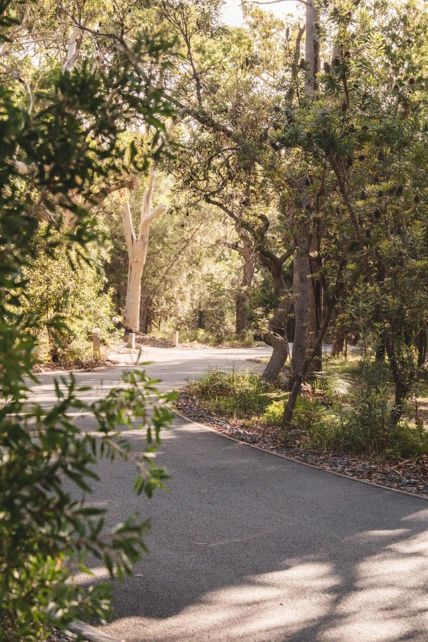 senses noosa north shore accommodation (123)