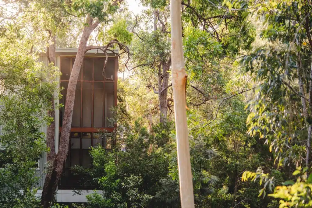 senses noosa north shore accommodation (249)