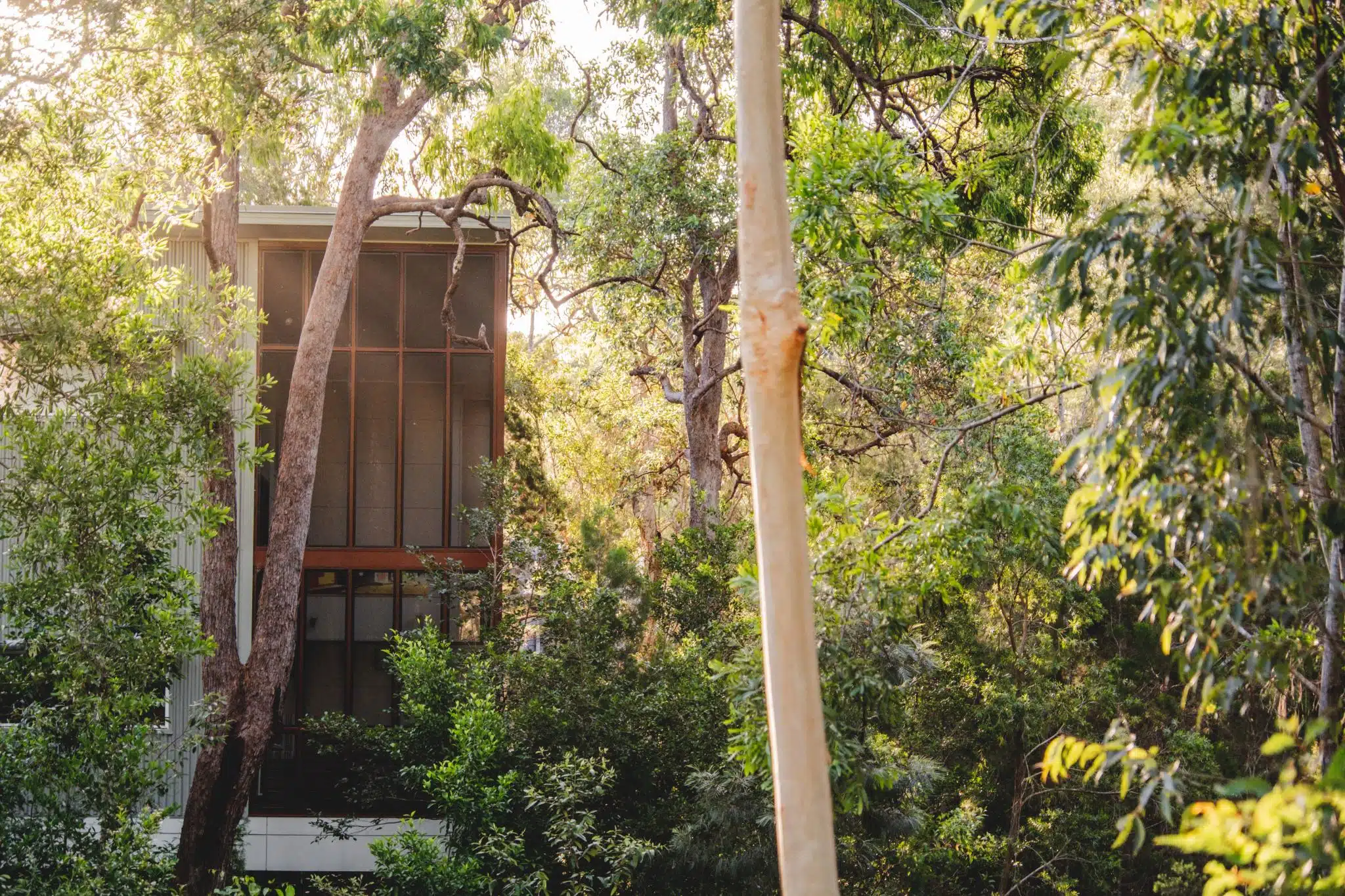 senses noosa north shore accommodation (249)